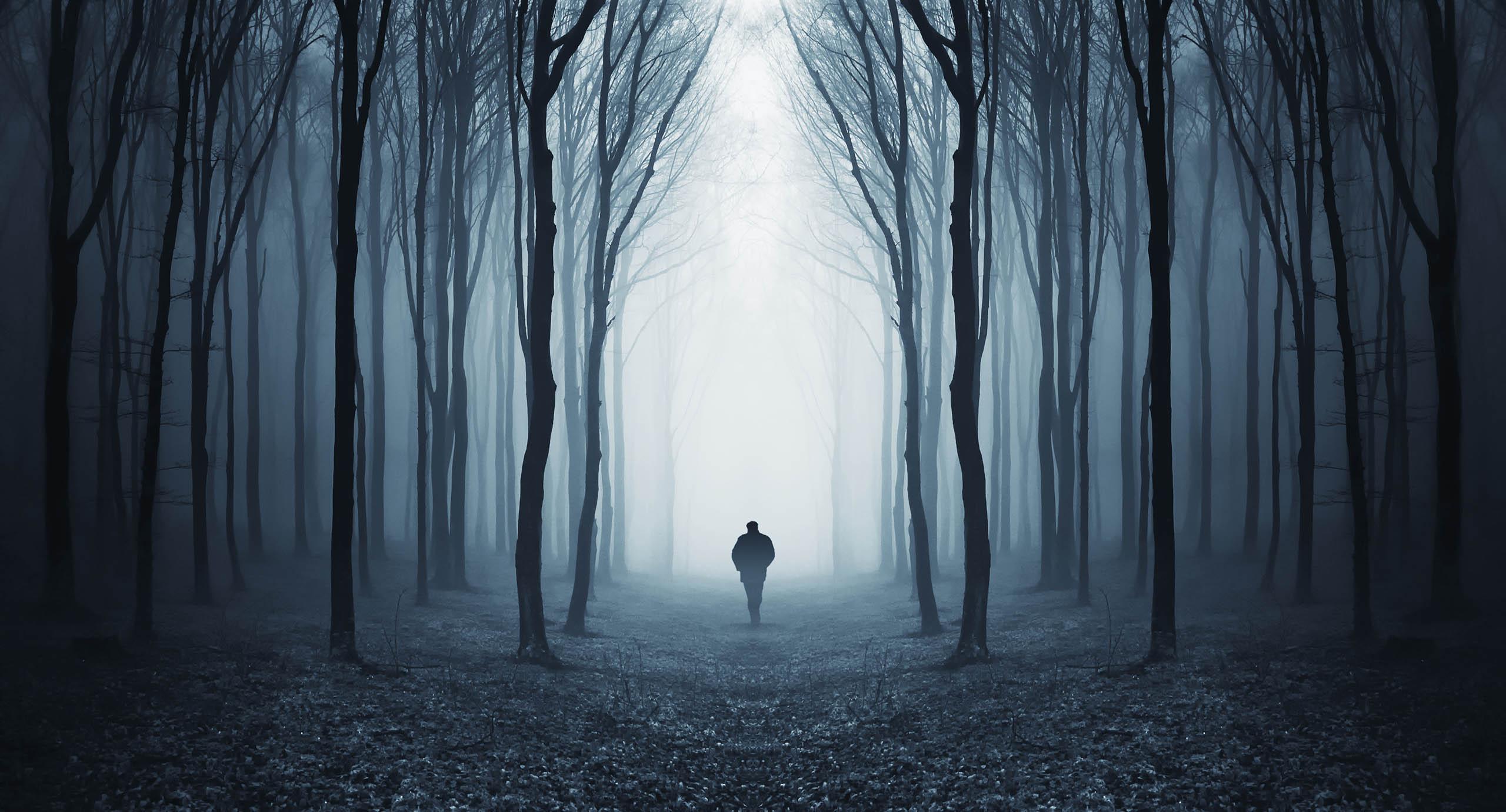 A cyan-tinted image of a man walking through a misty, foreboding forest.